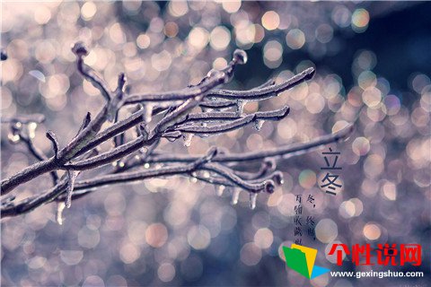 赞美女人的诗句 第1张