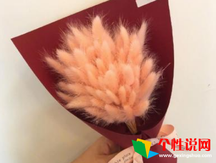 大寒祝福语简短 大寒小寒又一年说说 第1张