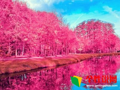 清明节笑死人的说说 第1张