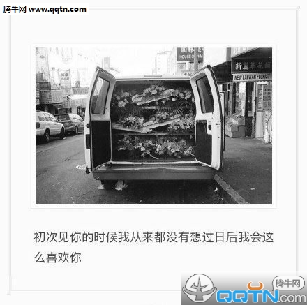 海边的白蝴蝶-林清玄散文精选 第1张