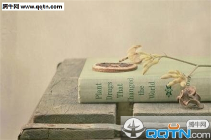 表达思念的诗句(15篇)-散文精选 第1张