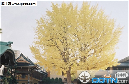 即此悔读书，朝朝近浮名全诗的意思_上句下句