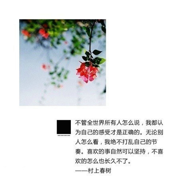 元旦节的贺卡祝福语 虎年元旦联欢会祝福语 第3张