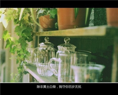 黄土地情歌(二)-史铁生散文精选