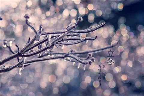 遑遑三十载，书剑两无成全诗的意思_上句下句 第1张