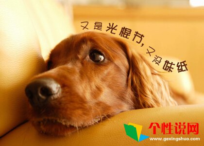 思念的诗句牵挂一个人 第1张