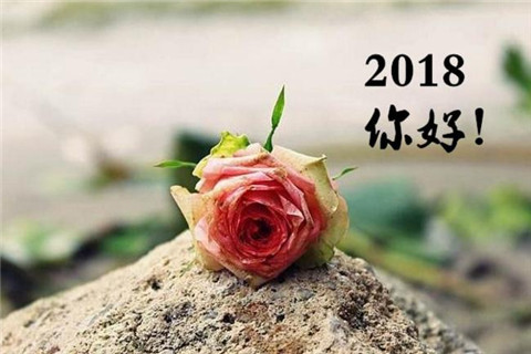 【金缕衣】原文注释、翻译赏析_古诗大全-散文精选 第1张