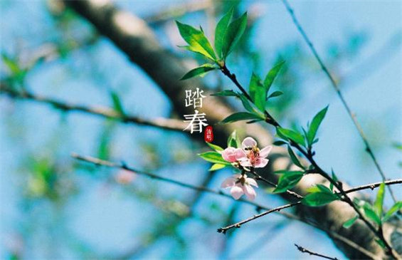 游雁宕山日记后-徐霞客散文精选