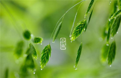 春分节气送祝福的说说大全2022
