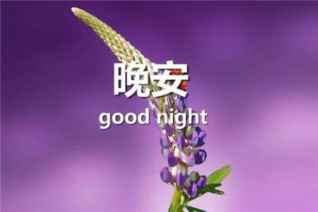 七夕朋友圈文案搞笑 七夕发什么说说好 第1张