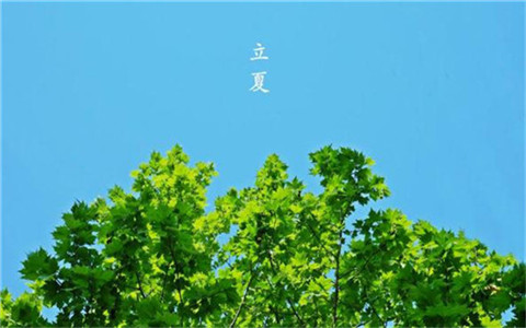 形容夜晚月亮美的诗句