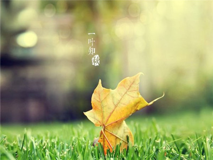 形容很惬意放松的诗句 个性说说诗意唯美诗句 第3张 形容很惬意放松的诗句 个性说说诗意唯美诗句 第3张