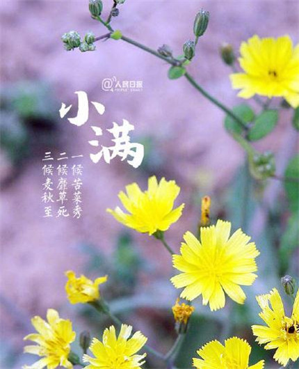 陪孩子最后一个儿童节的说说 第1张