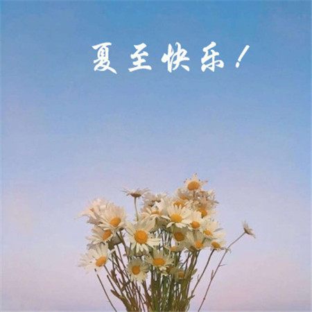 韵达快递祝福三八妇女节 第2张