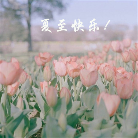 不过七夕的句子