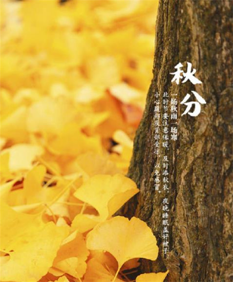 说说清明节扫墓的文化习俗 清明节乡下摘水果说说 第3张