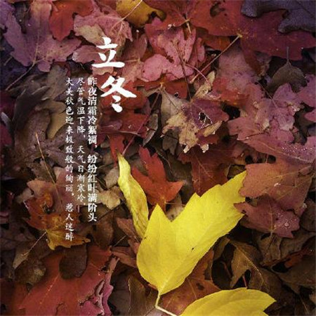 七夕关于单身狗发的说说 七夕单身狗专属心情说说伤感大全 第2张