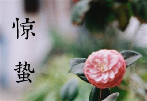 七月全新早安心语 七月你好唯美心情说说 第2张