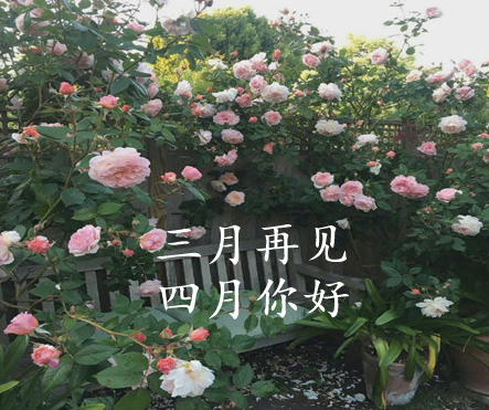 开学心情说说很励志 第3张