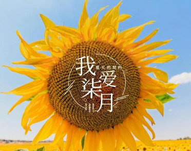 欢快的迎接十月 适合十月发朋友圈的哲理文案哲理说说 第3张