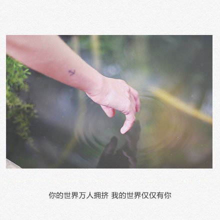 今春看又过，何日是归年全诗的意思_上句下句