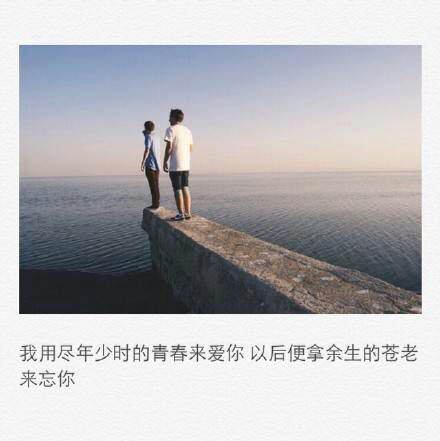 再见，初冬十一月，你好，严寒十二月的感悟句子 第2张