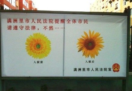 骠悍-席慕容散文精选 第1张