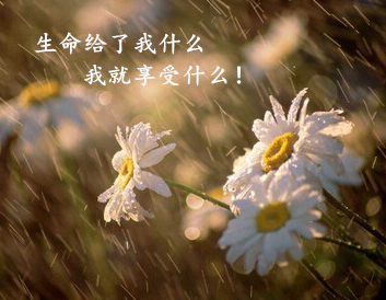 游雁宕山日记-徐霞客散文精选
