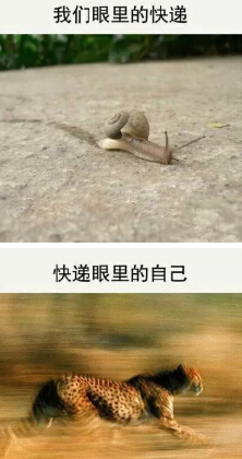 离愁渐远渐无穷，迢迢不断如春水全诗的意思_上句下句