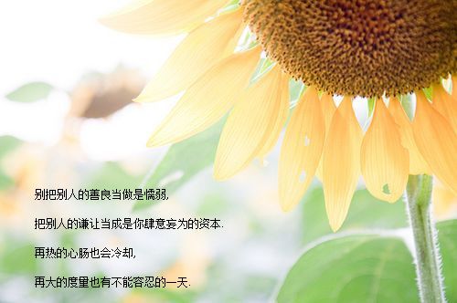 姊妹弟兄皆列土，可怜光彩生门户全诗的意思_上句下句 第1张