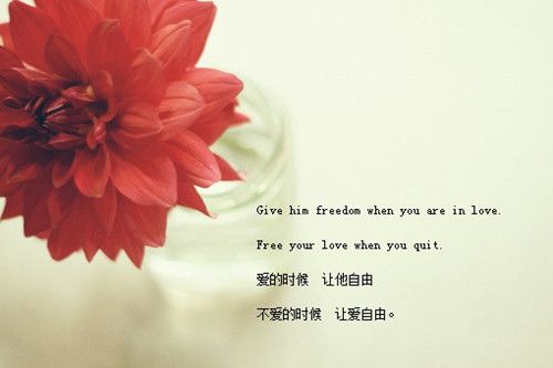 与书的日子 第1张