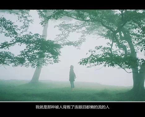 眼前的时光-林清玄散文精选