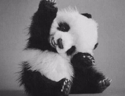 说死说活(一)-史铁生散文精选 第1张