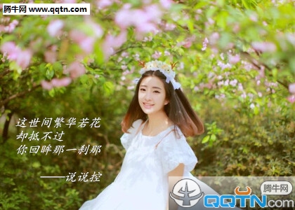 大过之第二十八_焦氏易林全诗的意思_上句下句 第1张