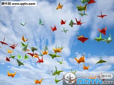 杨公堤随想-张抗抗散文精选 第1张 杨公堤随想-张抗抗散文精选 第1张