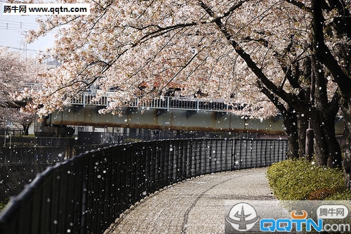 即从巴峡穿巫峡，便下襄阳向洛阳全诗的意思_上句下句 第1张
