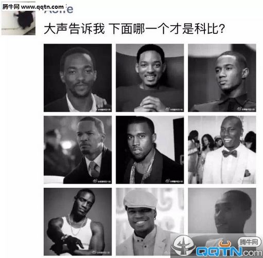 树上开花_三十六计全诗的意思_上句下句 第1张