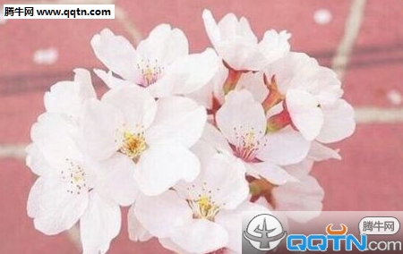 清明节收到红包说说 第2张