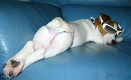 银碗里盛雪的人 第1张