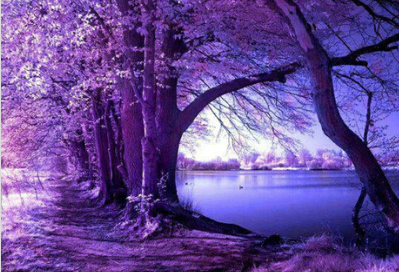 梦中的微笑 第1张 梦中的微笑 第1张