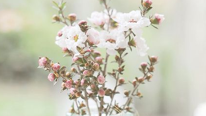 赞美老师的诗句名言-散文精选 第1张