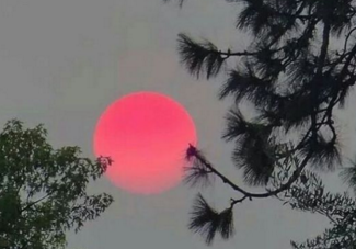 惊蛰搞笑说说 第1张