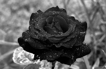 晋诗人孙绰简介 第1张