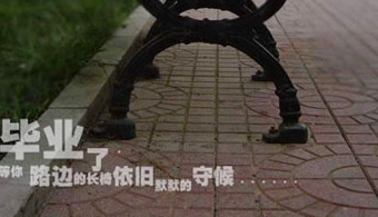 《田园诗情》四年级上册语文教案-散文精选 第1张