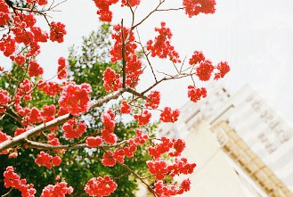 坤之第二_焦氏易林全诗的意思_上句下句 第1张