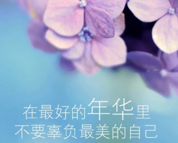 越鸟巢干后，归飞体更轻全诗的意思_上句下句 第1张