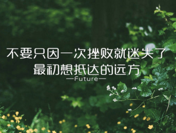 我爱这土地-艾青散文精选