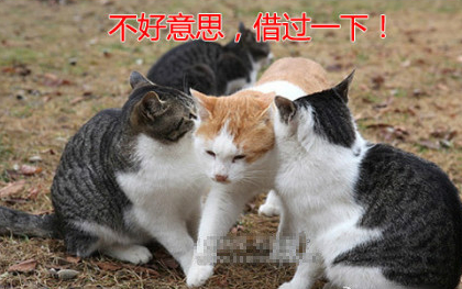 李公子救蛇获称心_喻世明言全诗的意思_上句下句 第1张
