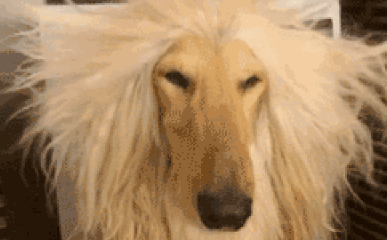 秋日散章 第1张 秋日散章 第1张