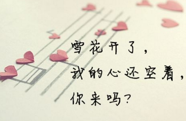 《自得之场》-亦舒散文精选
